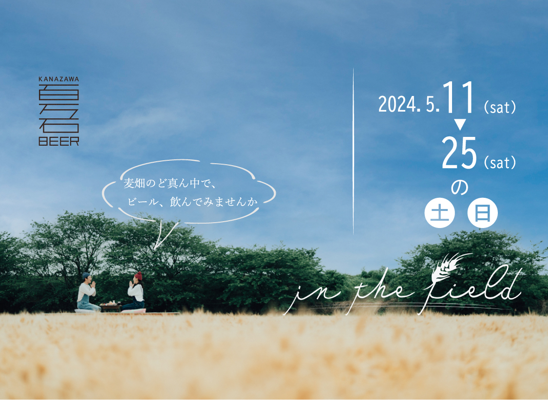 麦畑イベント-in the field 2024-